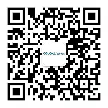 不锈钢阀门_蝶阀_闸阀_球阀_疏水阀_止回阀_截止阀_减压阀_水利控制阀-大发彩神vIII